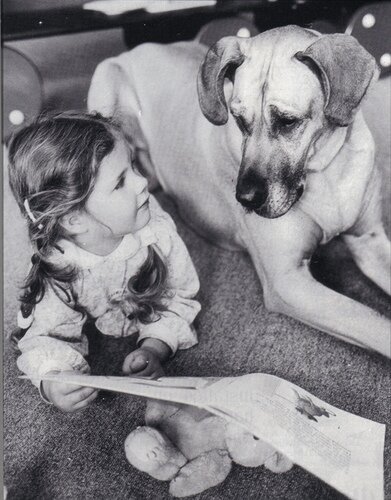 Storytelling en acción. Imagen: Flickr